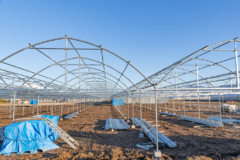 ビニールハウス施工(丸型ハウス)