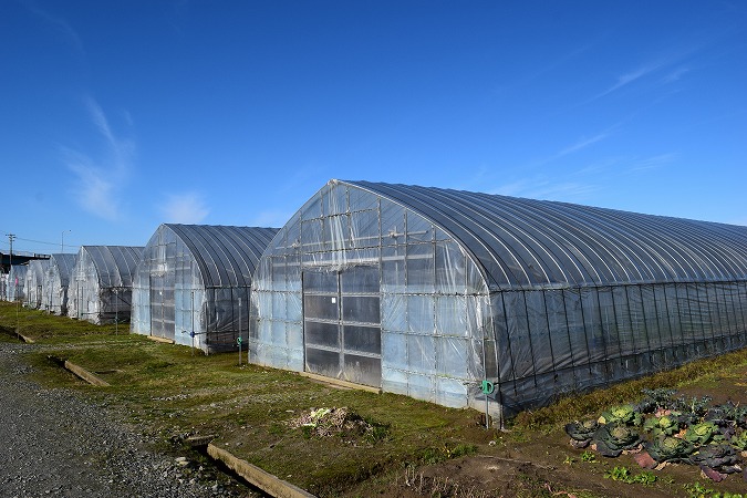 施工管理のプロが語る建設現場の実態