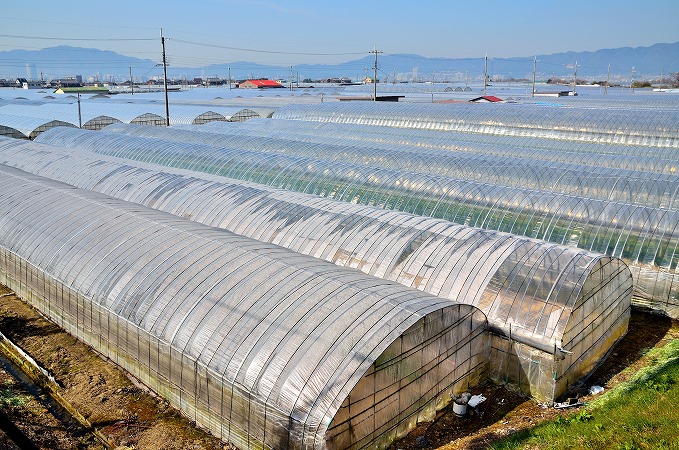ビニールハウス施工がもたらす農作業の効率化
