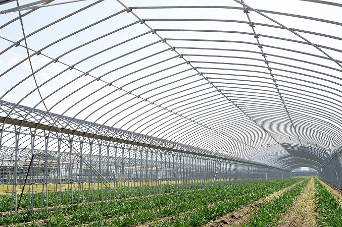 求職者必見！ビニールハウス施工が農業を支える理由