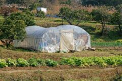 ビニールハウス施工