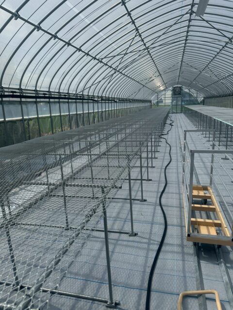 和歌山市内 野菜育苗ハウス完成